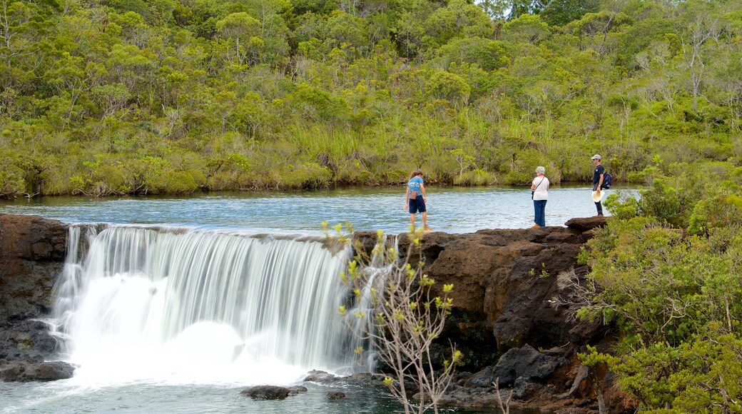 Yate que incluye un río o arroyo y también un pequeño grupo de personas