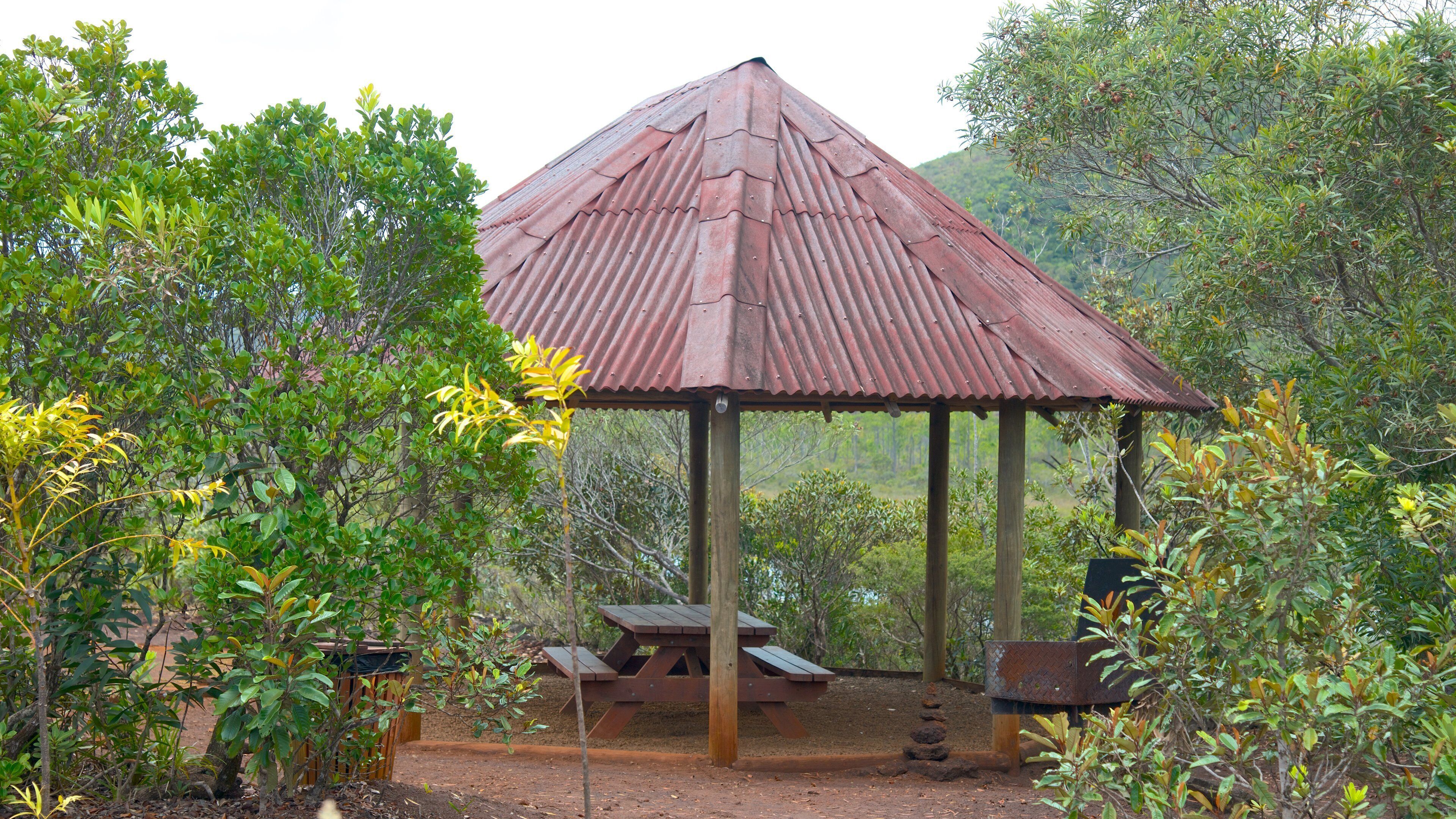 Yate mostrando escenas tranquilas