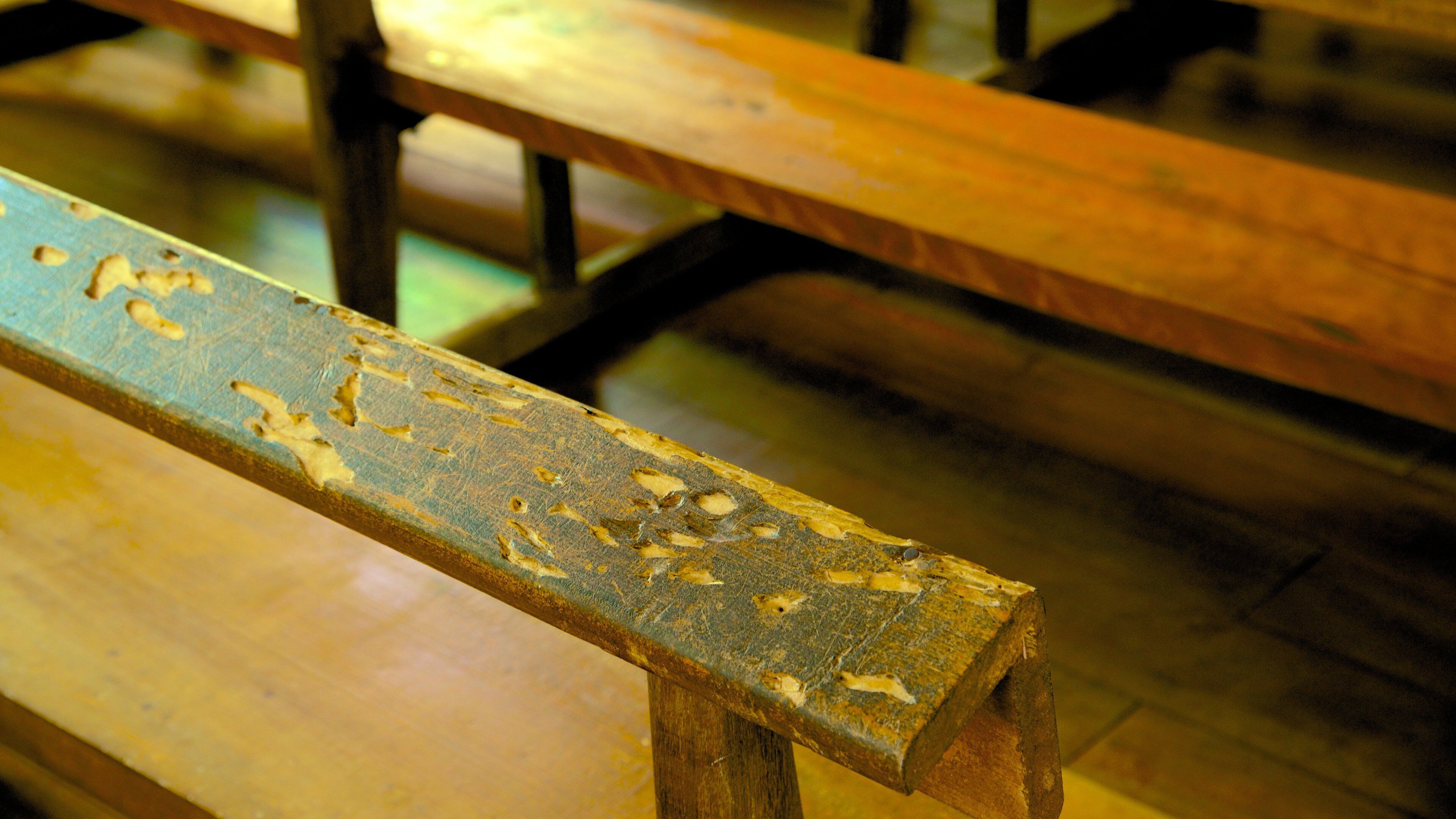 Ile des Pins montrant vues intérieures