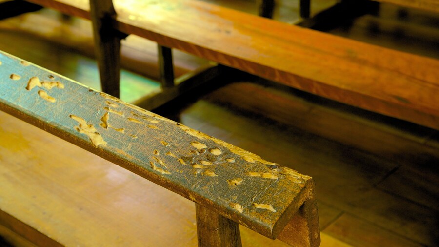 Isle of Pines mostrando vistas interiores