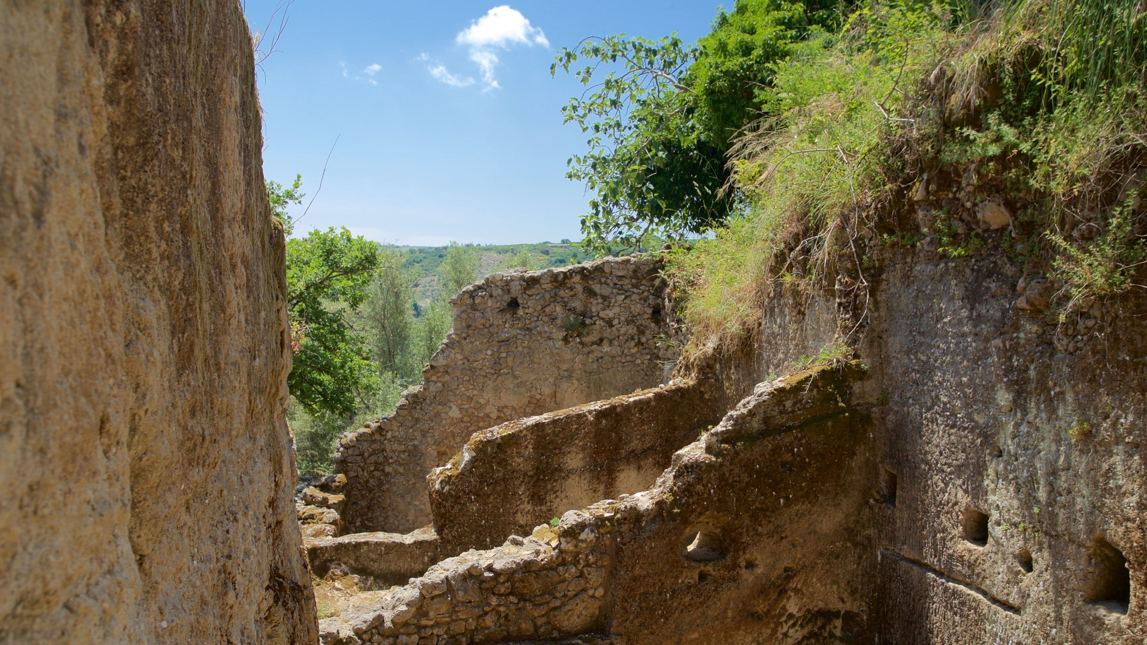 Ancient stone steps leading up a hillside, surrounded by lush greenery and a clear blue sky.
