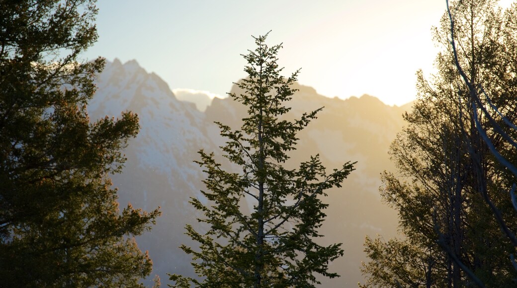 Snake River Overlook showing mountains, forest scenes and a sunset