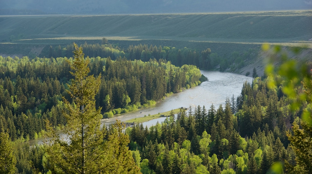 Snake River Overlook which includes a river or creek, tranquil scenes and landscape views