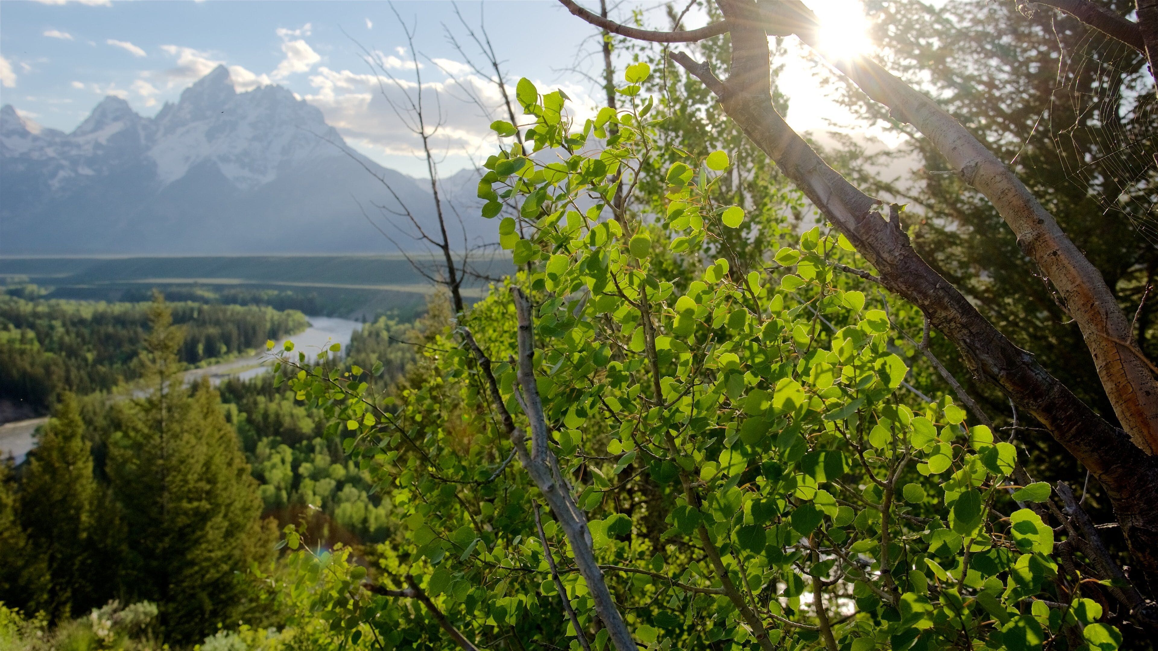 Snake River Overlook