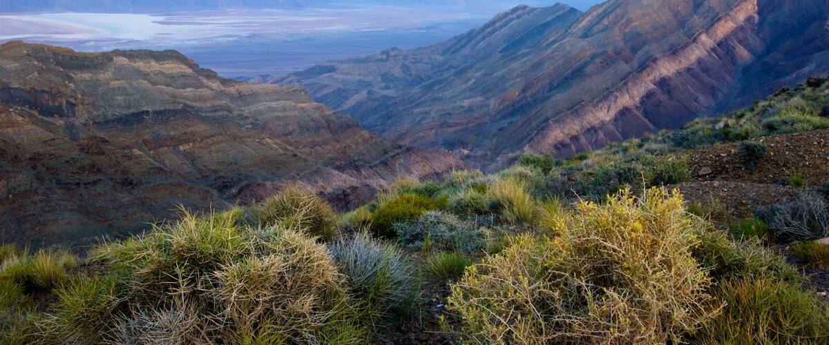 Death Valley featuring tranquil scenes, landscape views and a gorge or canyon