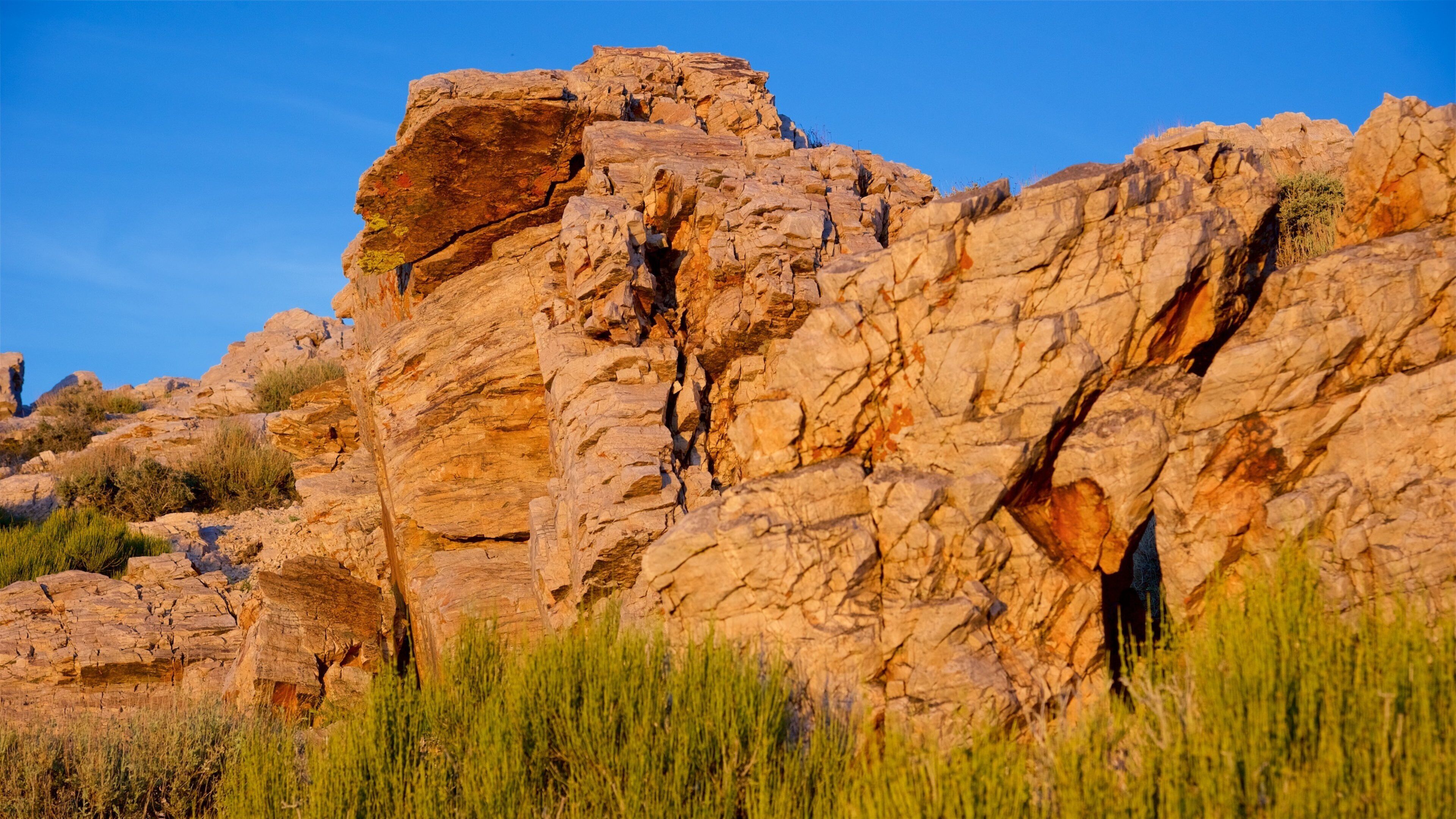 Aguereberry Point showing desert views and a gorge or canyon
