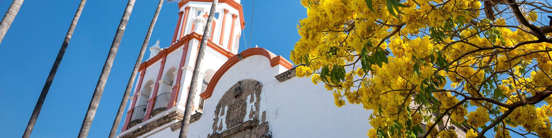 A white building with a red and white bell tower, surrounded by tall palm trees and yellow flowering trees against a clear blue sky.