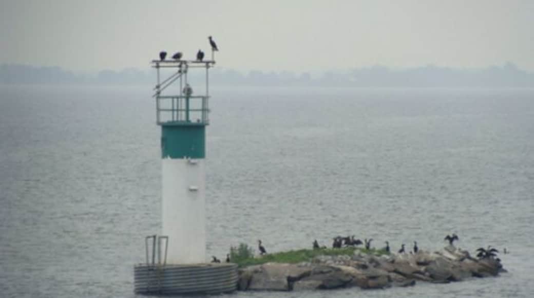 One of the tiniest in the group of islands at the 1000 islands in Ontario, Canada