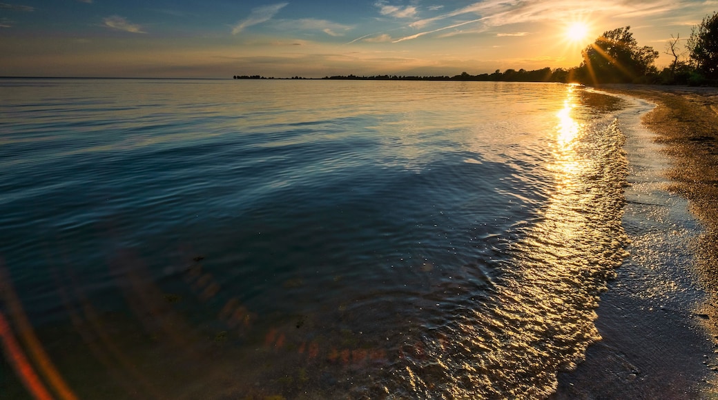 夫隆特纳克群岛