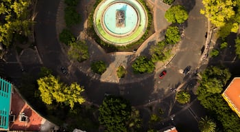 Vista cenital sobre la Glorieta y fuente de la Cibeles en la colonia Roma durante el atardecer.