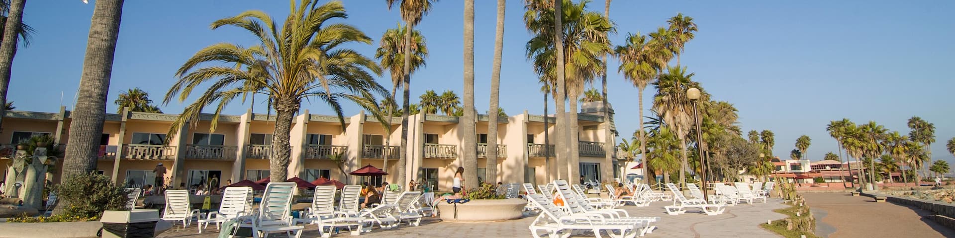 Palm trees on main avenue in Estero Beach Ensenada Baja California Mexico. summer vacation season