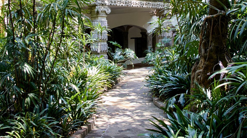 El Museo Casa de la Bola de Tacubaya, Ciudad de México