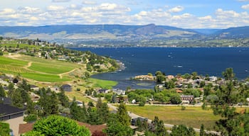 Westbank West Kelowna Okanagan Lake Vineyard