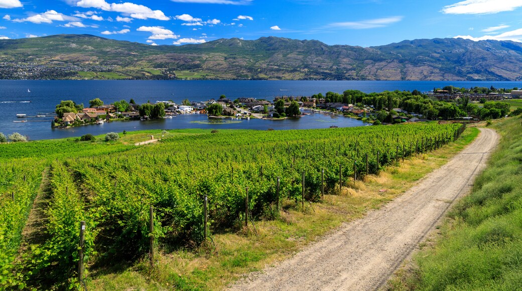 Westbank West Kelowna Okanagan Lake Vineyard
