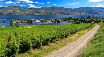 Westbank West Kelowna Okanagan Lake Vineyard
