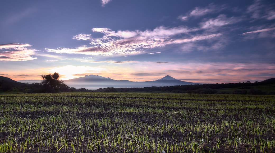 El Oasis Valsequillo