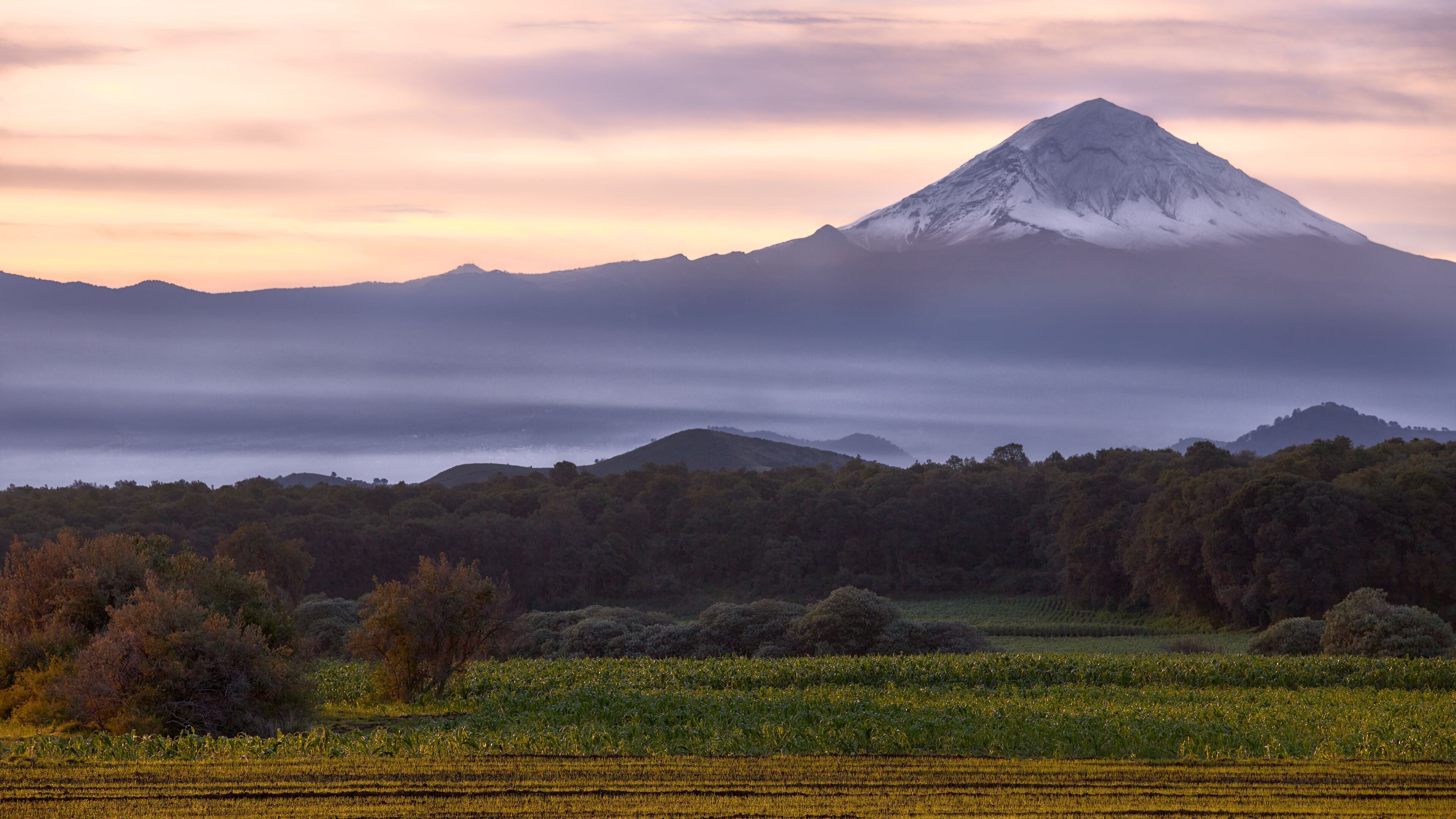 El Oasis Valsequillo