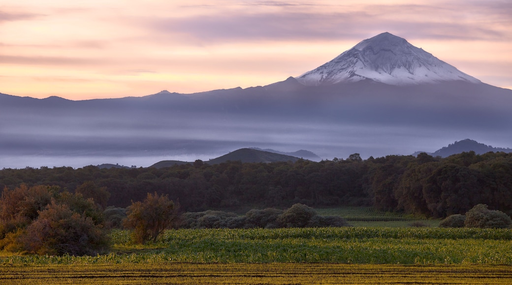 El Oasis Valsequillo