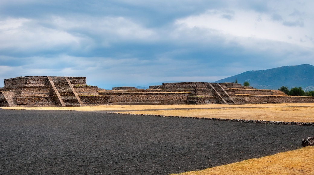 Panoramic View at the Citadel at Teotihuacán in Central Mexico. Teotihuacán was the largest pre-Aztec city, a major economic and religious centre reaching its peak between 100 B.C. and A.D. 650.