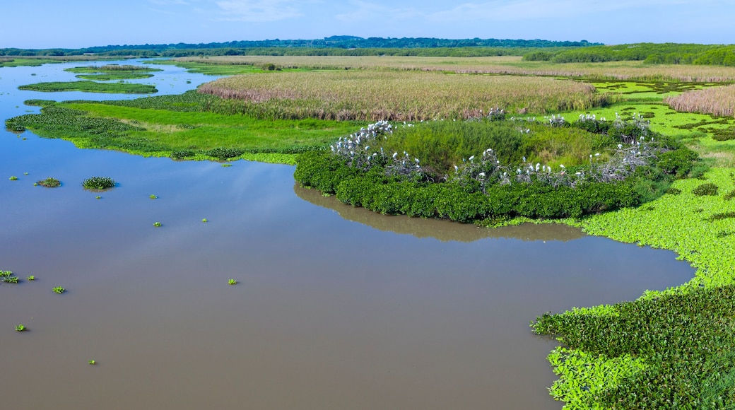 San Cristobal river, Bird sanctuary, San Blas Town, Matanchen Bay, Pacific Ocean, Riviera Nayarit, Nayarit state, Mexico, Central America, America