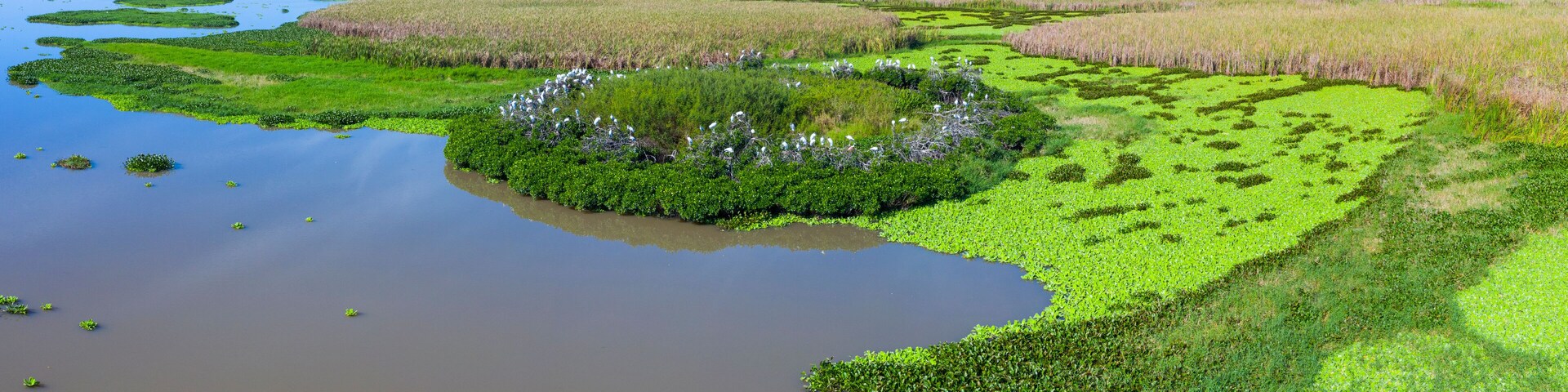 San Cristobal river, Bird sanctuary, San Blas Town, Matanchen Bay, Pacific Ocean, Riviera Nayarit, Nayarit state, Mexico, Central America, America