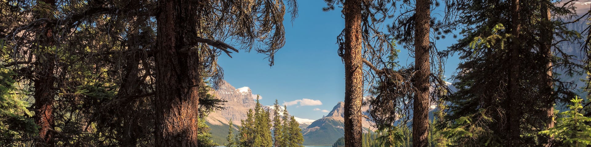 Beautiful view of the Spirit Island in Maligne Lake, from tourist trail in the forest, Jasper National park, Alberta, Canada.