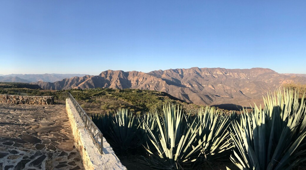 When in tequila, Mexico