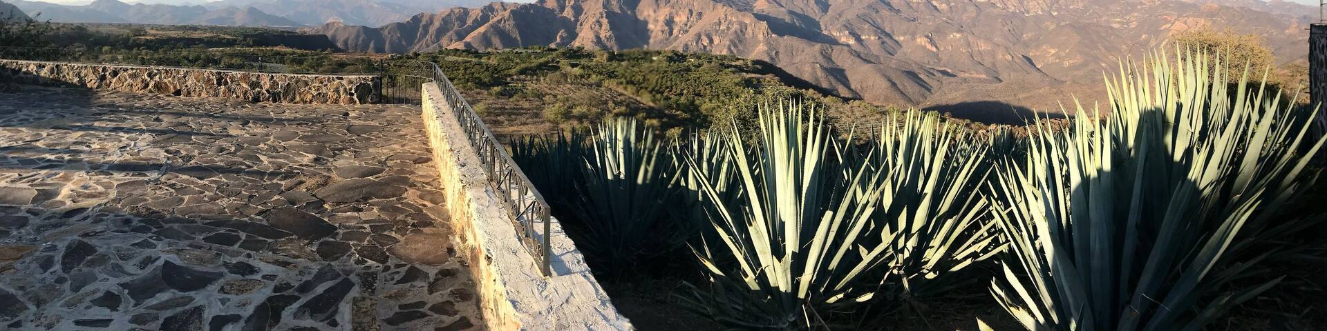 When in tequila, Mexico