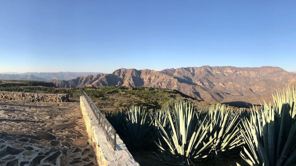 When in tequila, Mexico