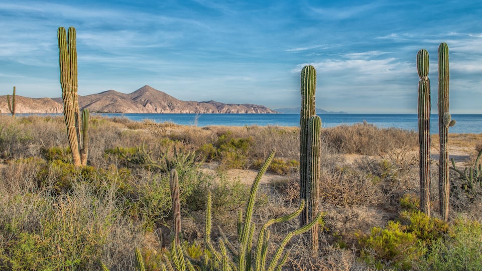 Sea and desert, ensenada de muertos, la paz baja california sur. MEXICO