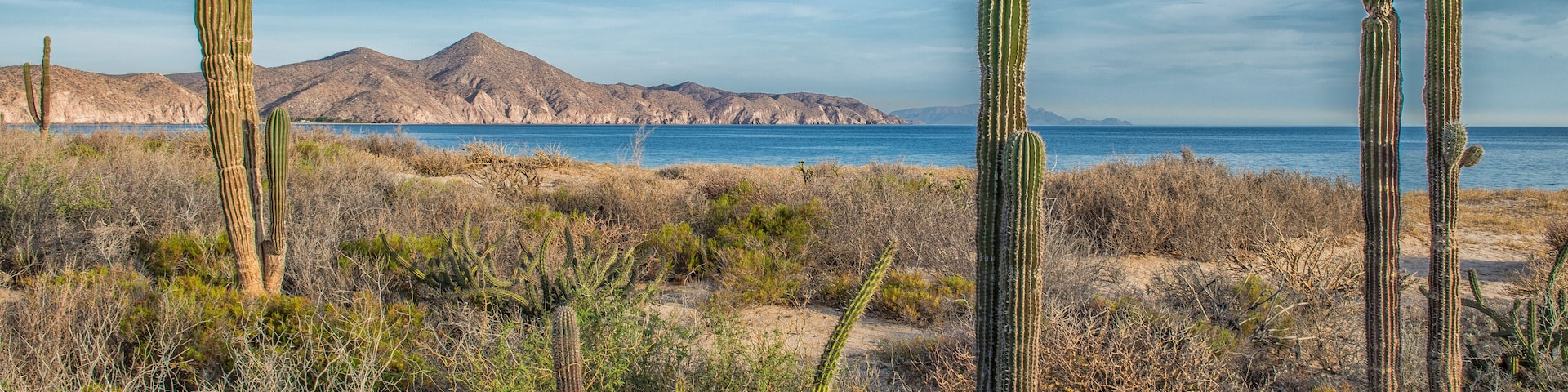 Sea and desert, ensenada de muertos, la paz baja california sur. MEXICO