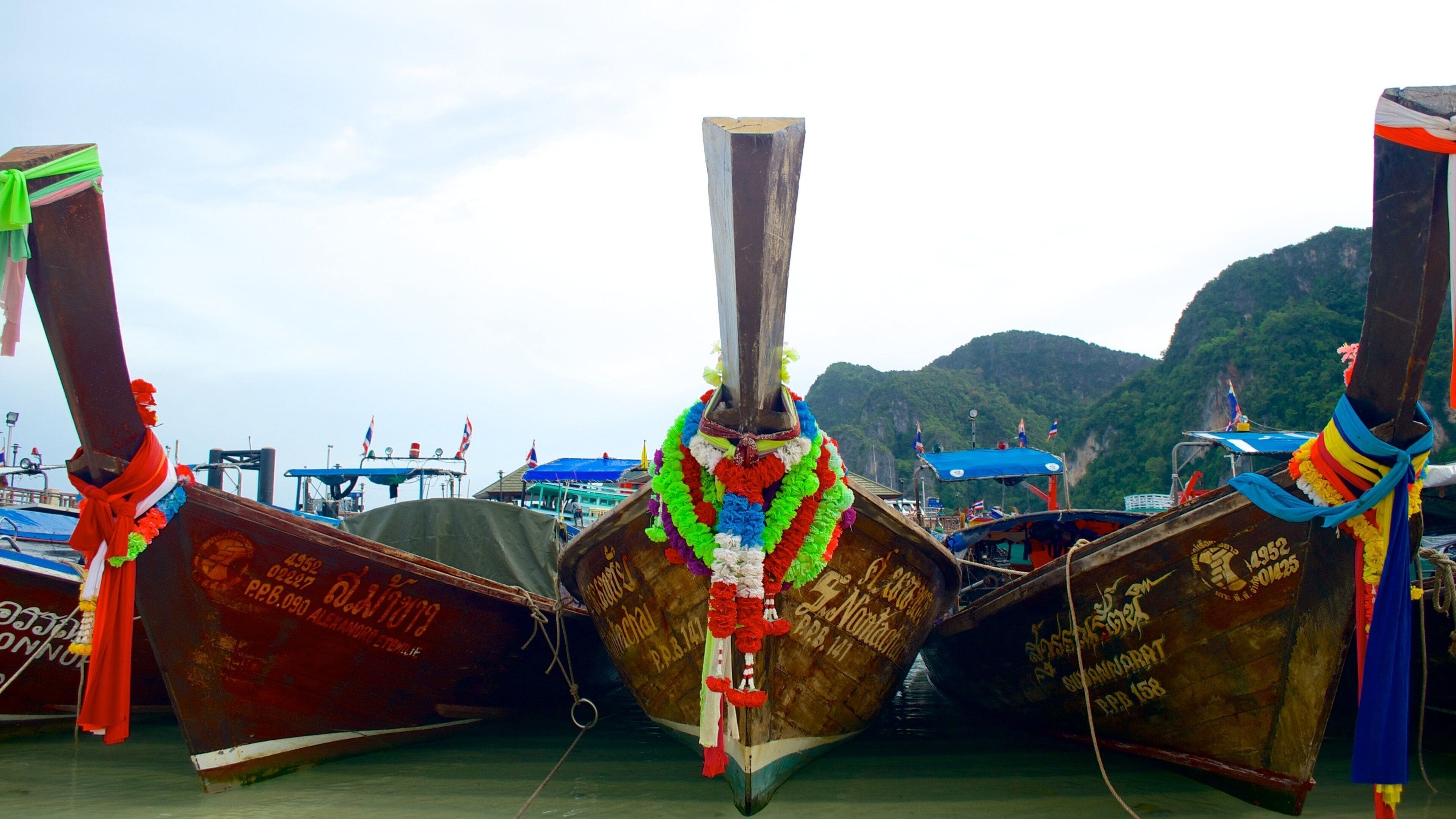 Phi Phi Islands featuring a bay or harbor