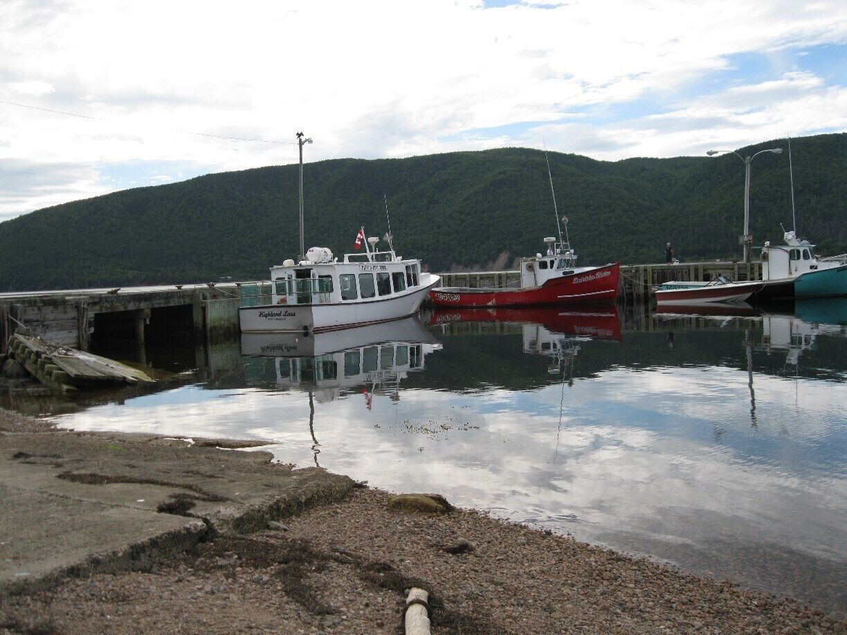 These are the size of the boats that allow you unbelievable close up viewing of otherwise inaccessible rookeries and mammal habitats.