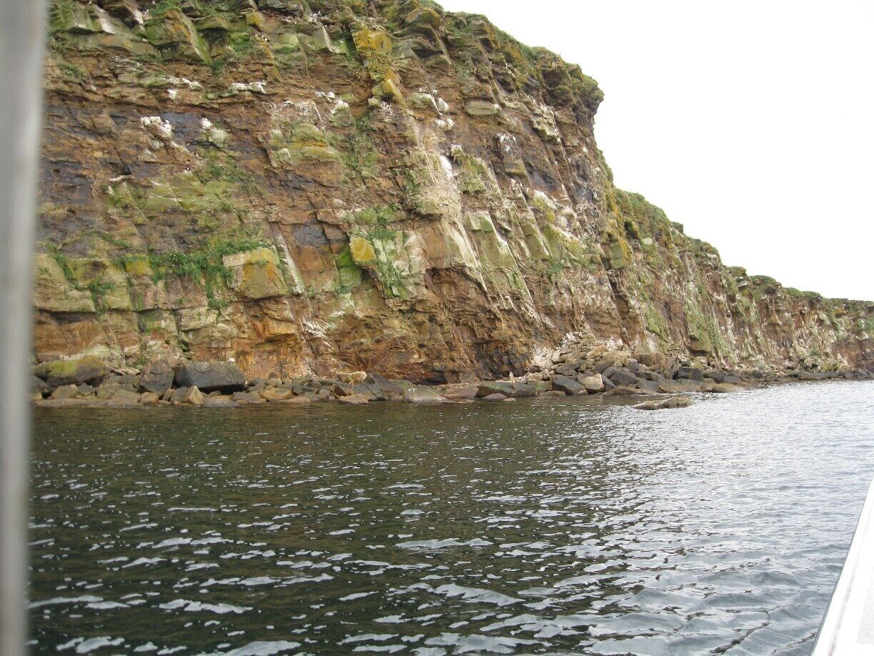 A scene from Donelda's boat. A trip not to be missed- puffin, eagles, seals, you name it.