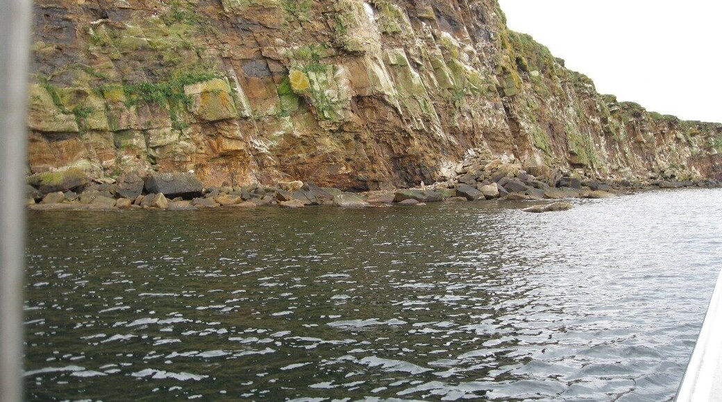 A scene from Donelda's boat. A trip not to be missed- puffin, eagles, seals, you name it.