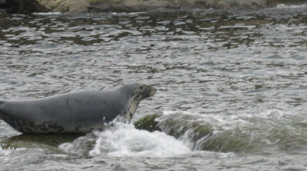 Donelda's boats get so close you can almost touch them.