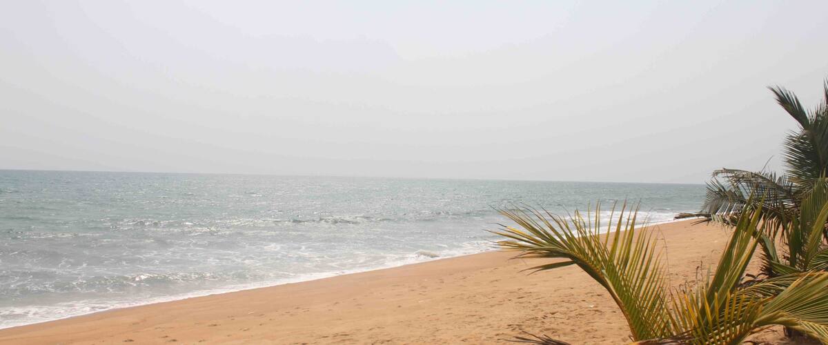 A sandy beach with palm trees and the ocean.