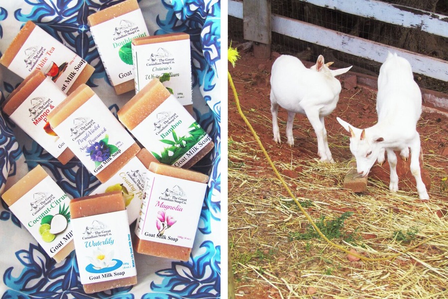 Soap, ice cream, and baby goats roaming the property - what's not to like?