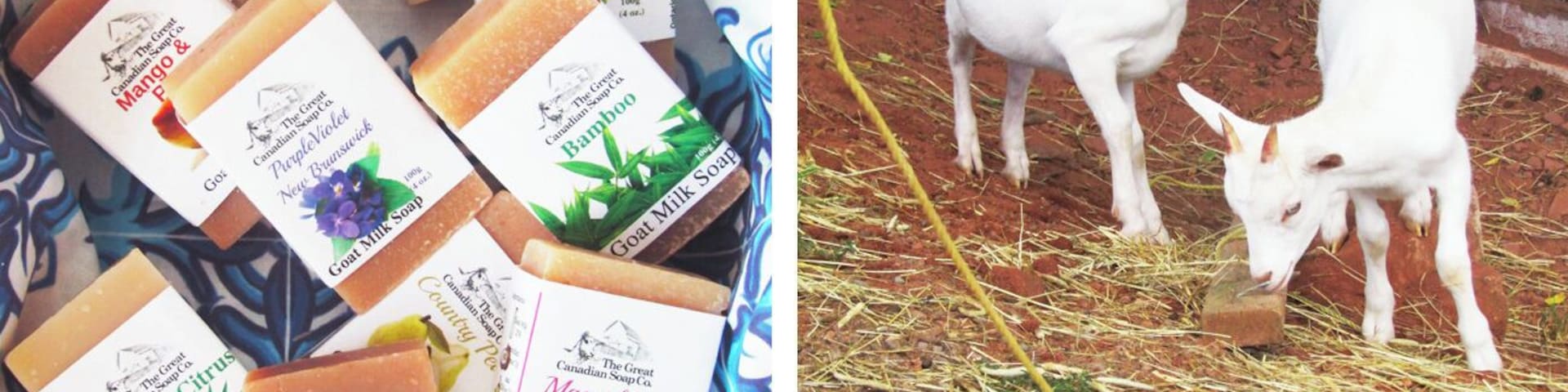 Soap, ice cream, and baby goats roaming the property - what's not to like?