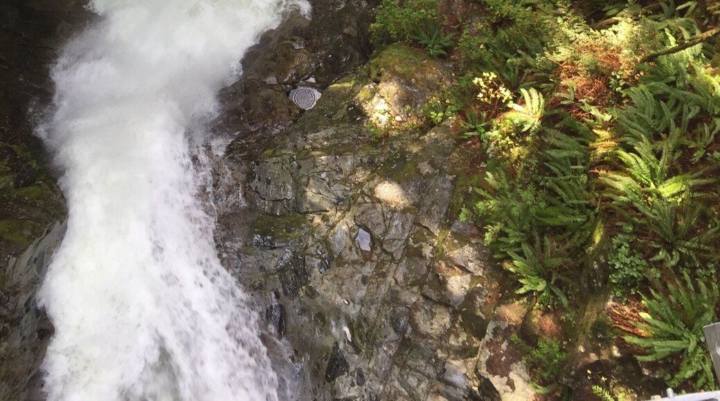 Water cascading with such force that made my heartbeat racing while standing on the suspension bridge looking down.
