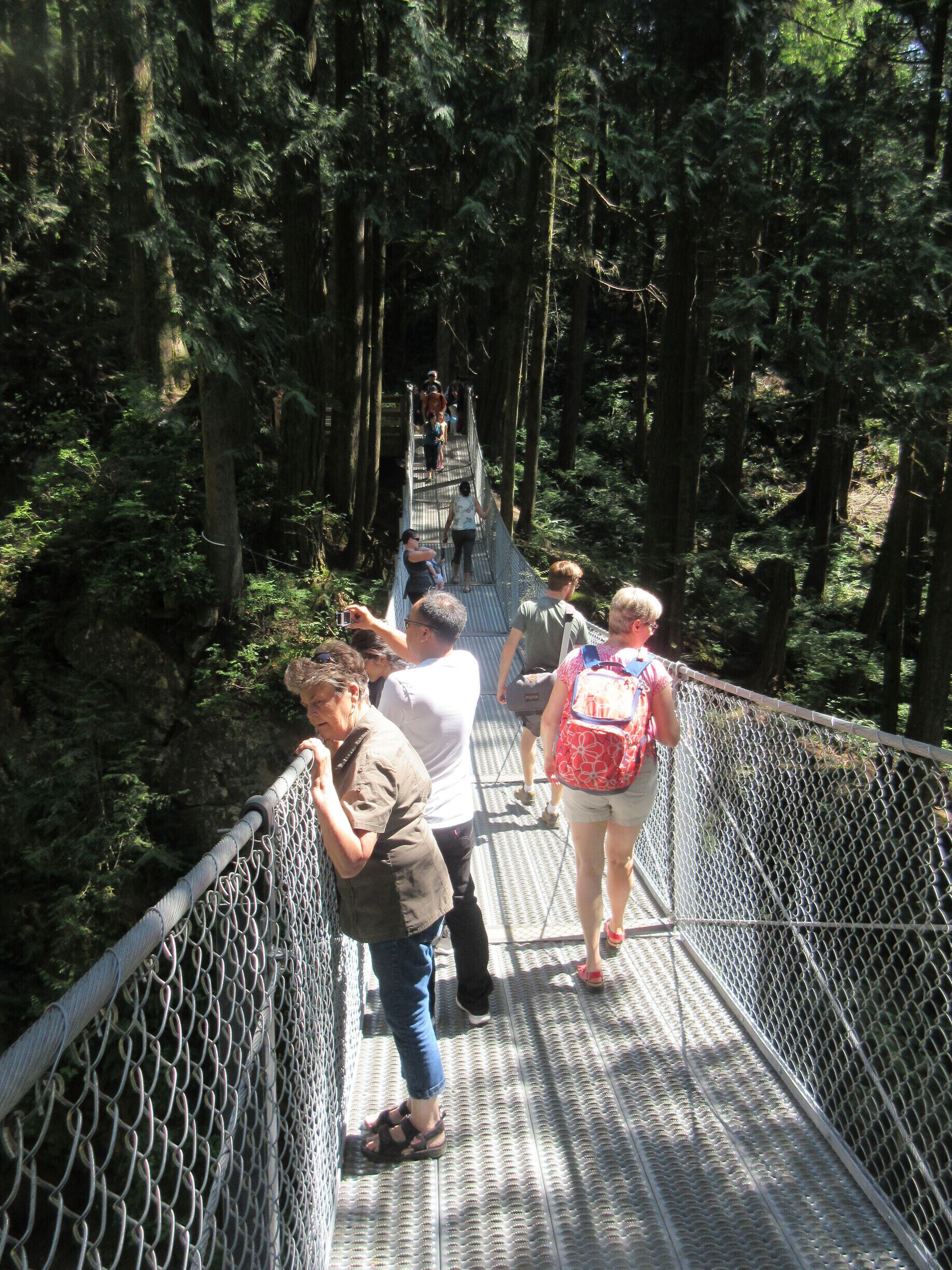 The bridge over the river