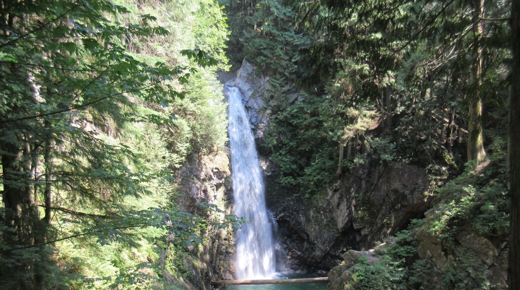 There were even brave people swimming in there