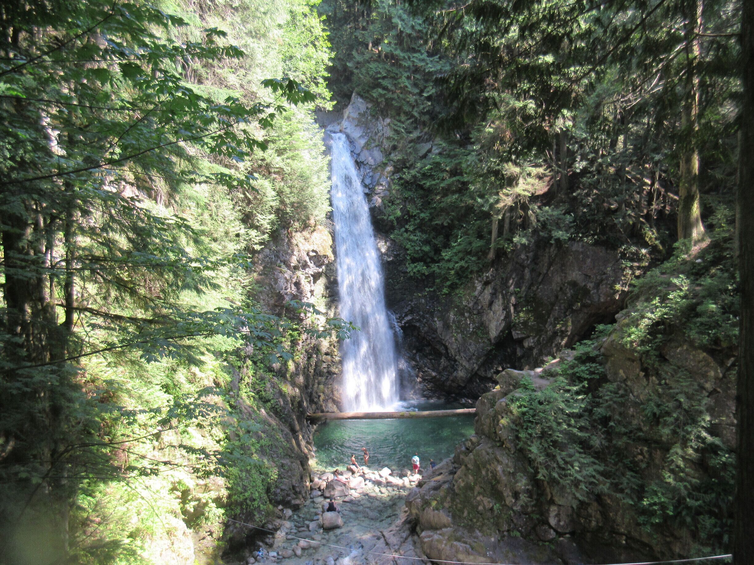 A waterfall cascading into a pool surrounded by dense forest.