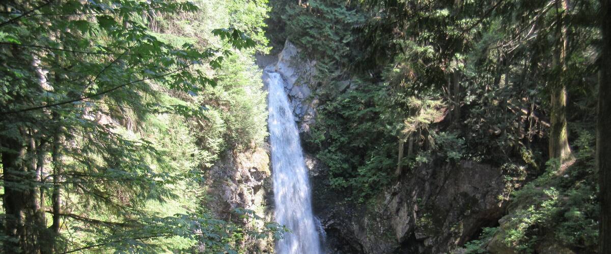 A waterfall cascading into a pool surrounded by dense forest.