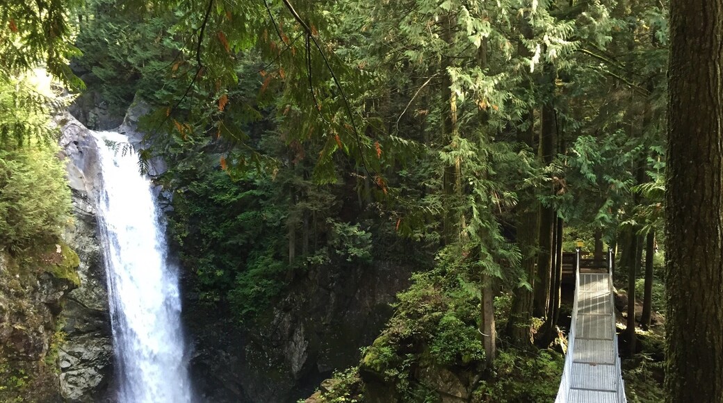 It is a short and fun hike that leads to this wonderful scenic spot where nature flourishes in a beautiful setting.