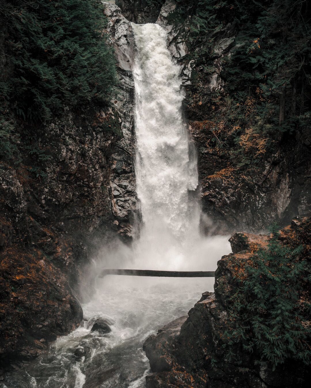 Una cascada se precipita por un risco rocoso, rodeada de un bosque denso.