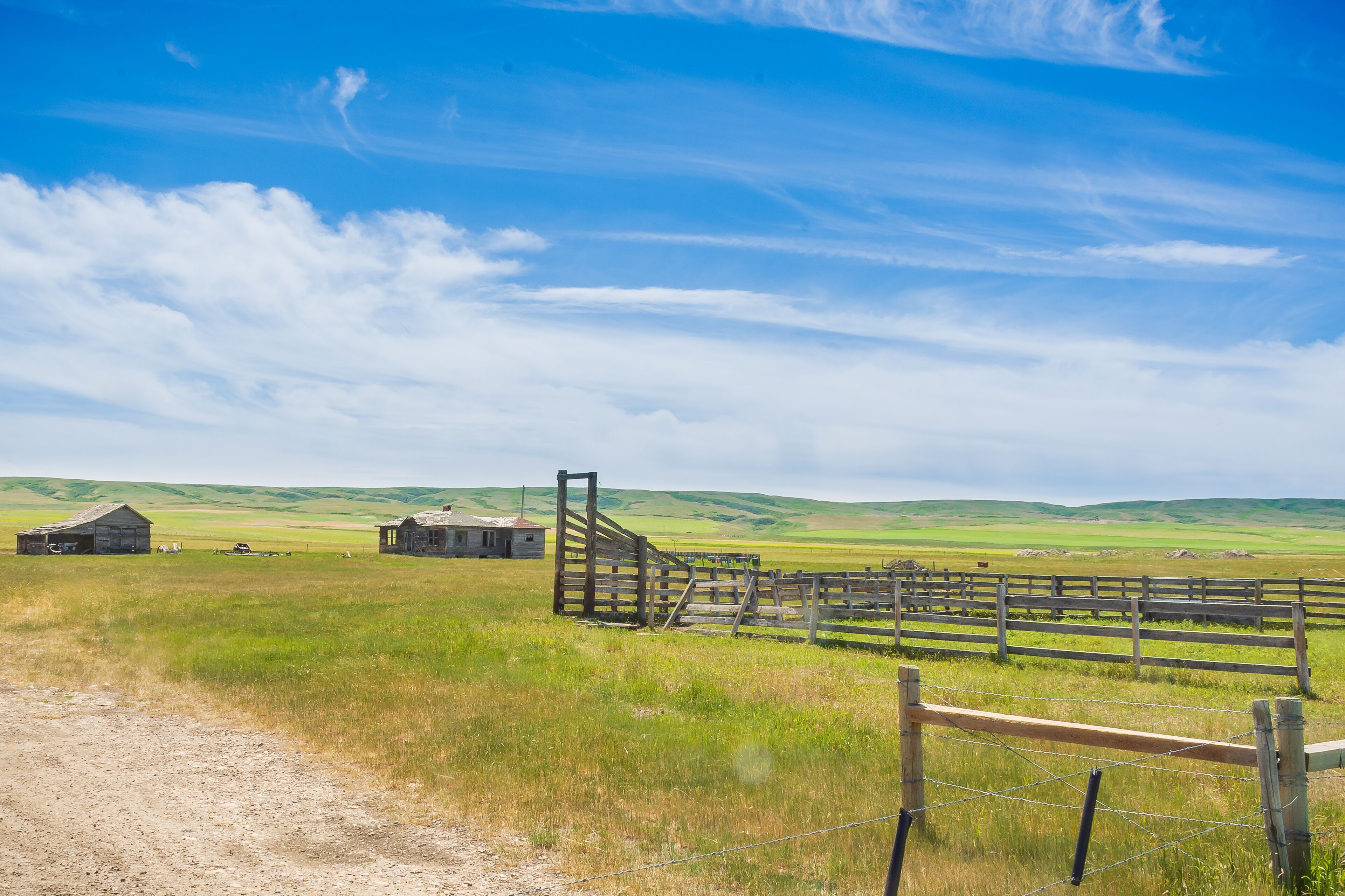 Abandoned farmstead in the green field. Southern Alberta, Canada.