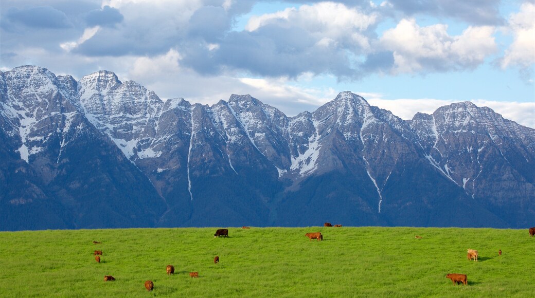 Fort Steele featuring land animals, mountains and tranquil scenes