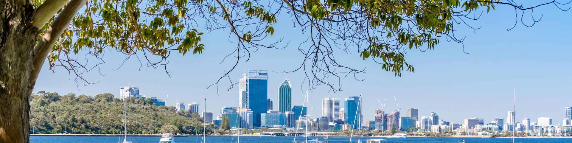 A waterfront park with a bench, a city skyline, and various boats on the water.