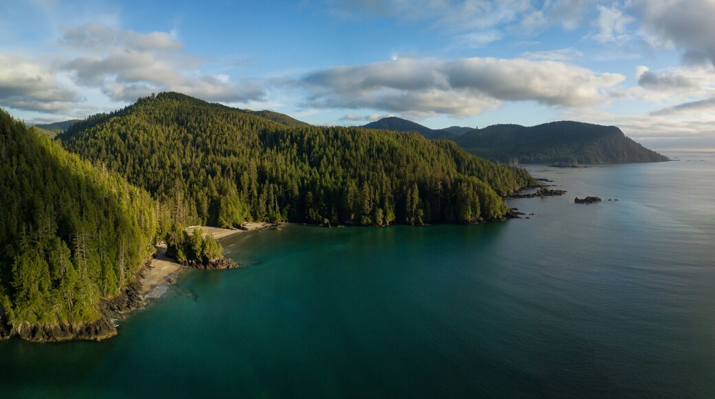 نورث أويستر